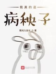 领主之路：从一座小岛开始封面