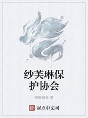 纵横斗罗之枪皇封面