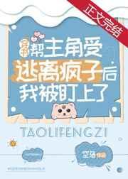 风云之邪气凛然封面