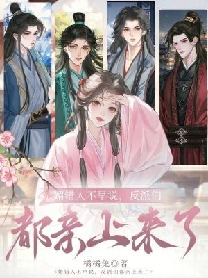 公主不做背锅侠,皇位美男两手抓封面
