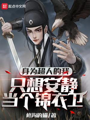 龙骑战机南天门计划封面