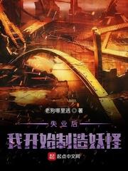 穿越到龙珠的封面