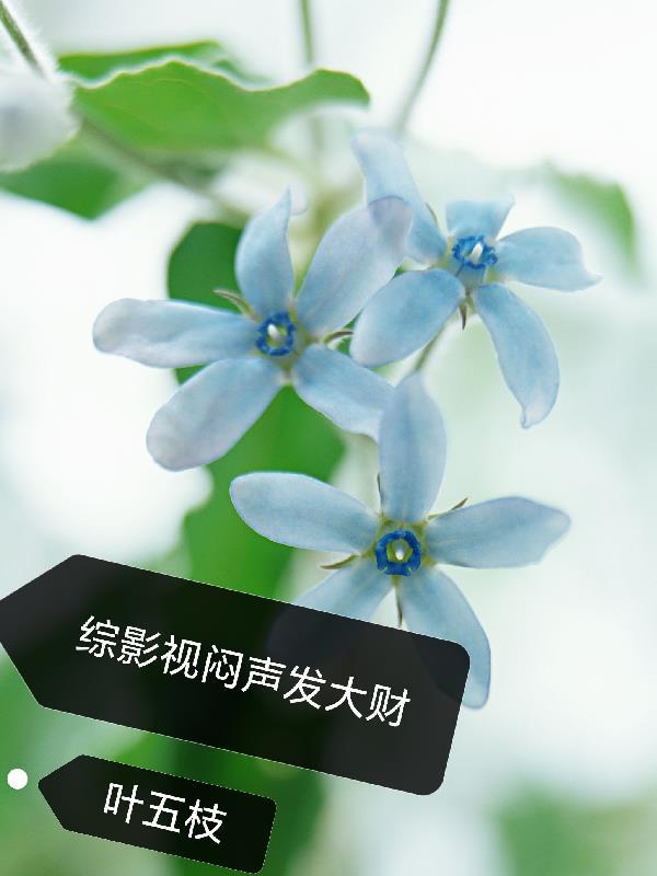 寒川霸主：我的科技帝国封面