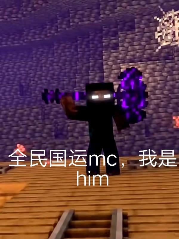 我的影子领域封面