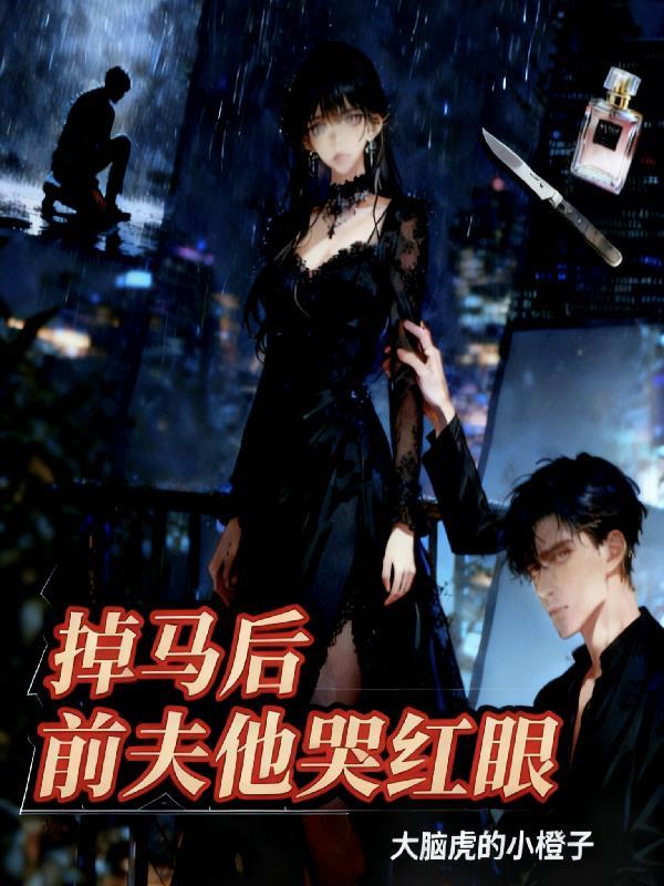 有风的地方：风吹云苗封面