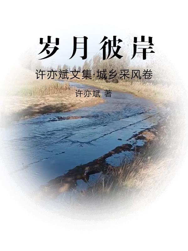 巫界征途为什么不更新了封面
