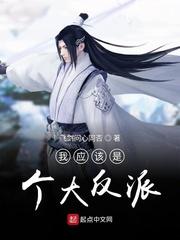 乱宋风雨情封面