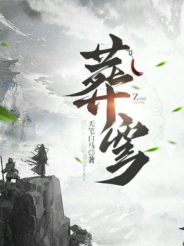 穿越后搞起了星际直播封面