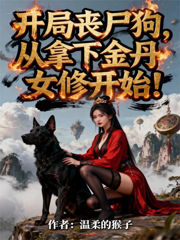 柯南:路过一个欧克瑟杀戮机封面