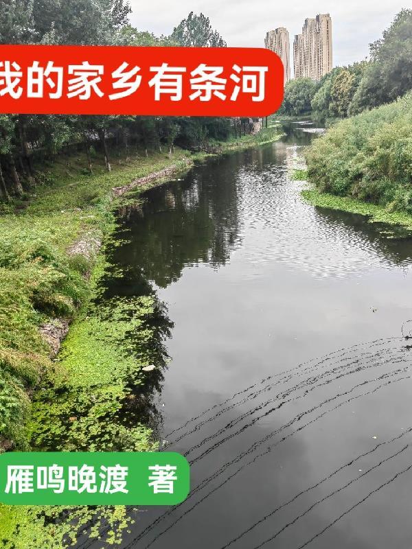 娇娇一巴掌，裴总跪着夸她打得响封面