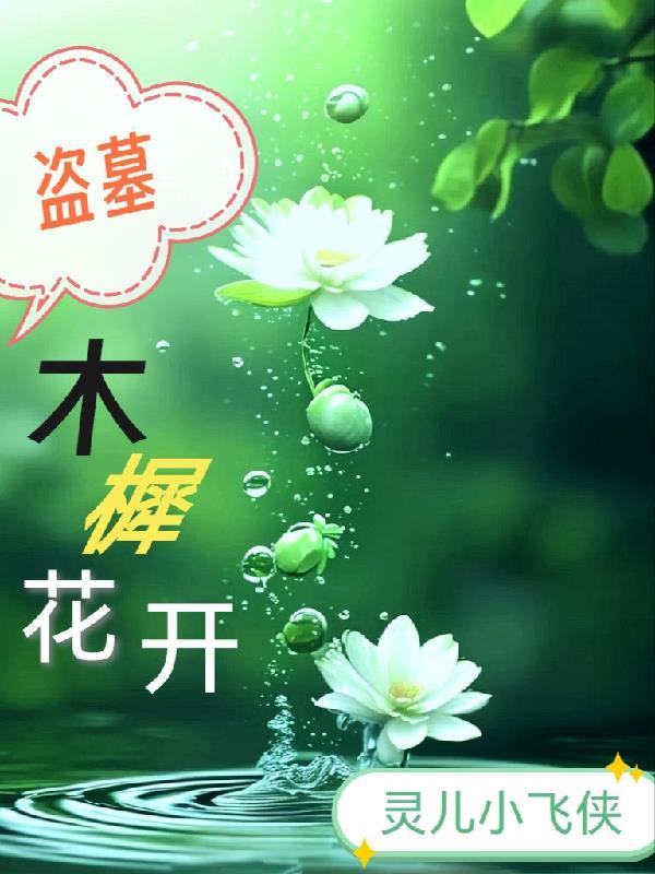 仙武星穹封面