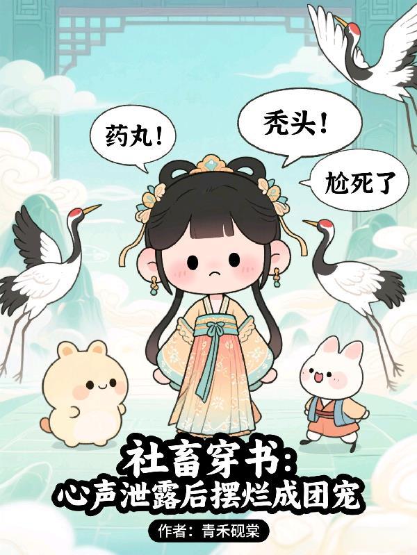 京市归来,掌权人的羁绊封面