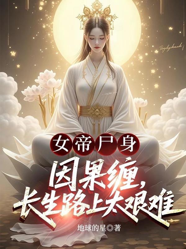 星火坠落时封面