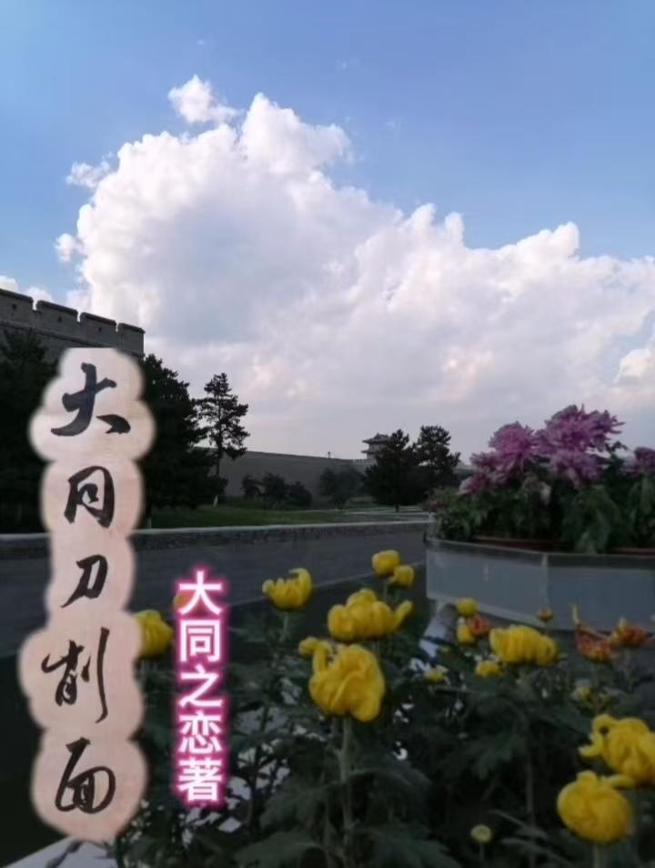 穿越安史之乱：我给杜甫当保镖封面