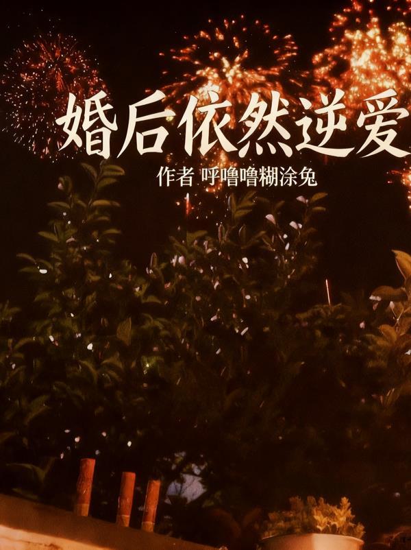 绿之魂封面