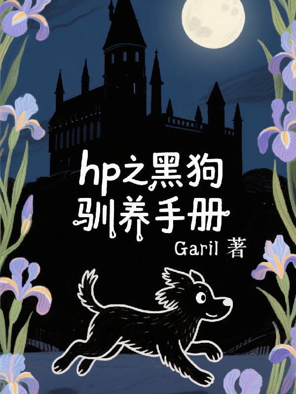 穿越明末争霸大海封面
