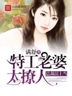 天路降临封面