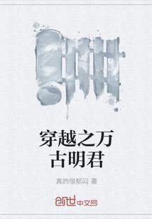 大汉宣帝封面