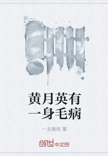 南宋第一卧底封面