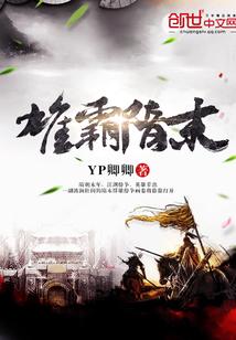 风雨大宋封面