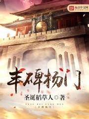 农门奇医妃封面