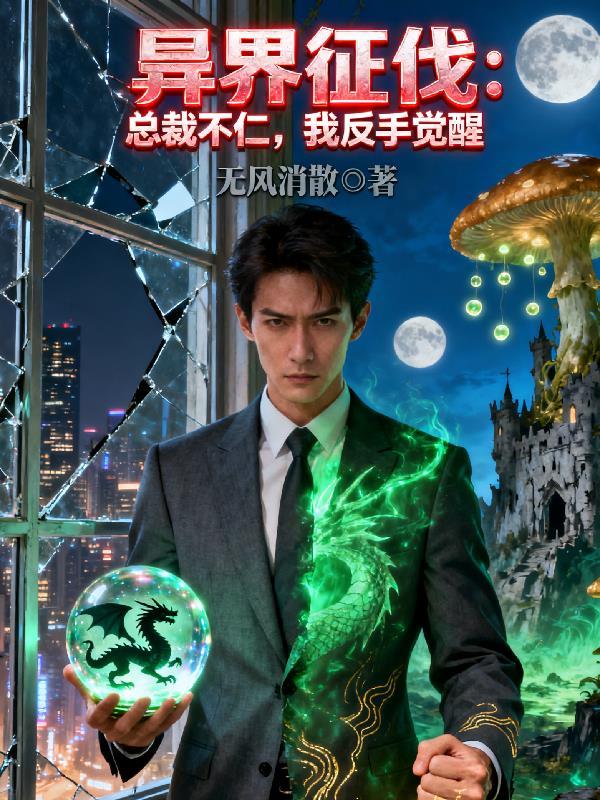 崛起崇祯封面