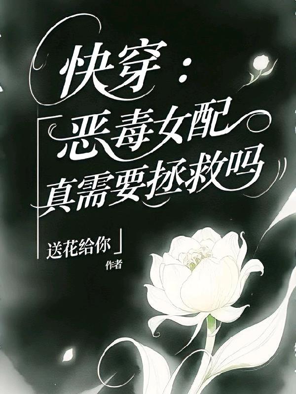 大明MC系统封面