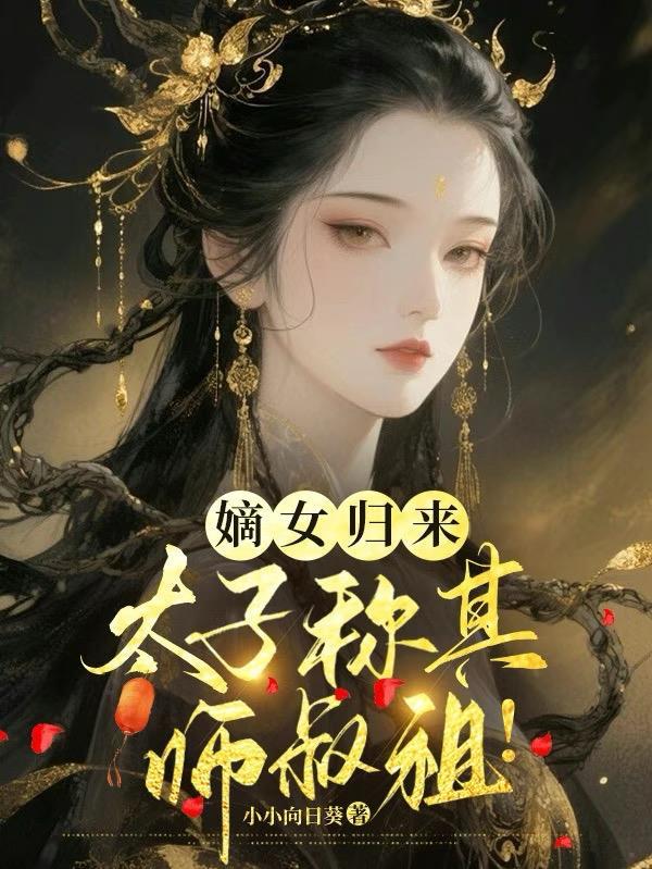 HP黑魔王与他的共犯封面