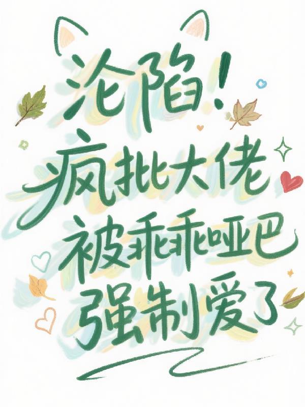 兰策的二十岁封面