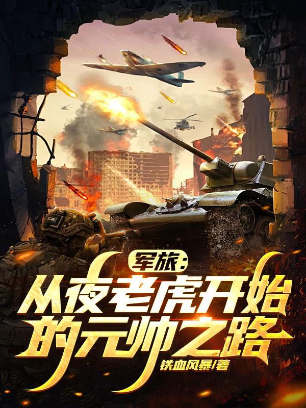 风云双剑战枭雄封面