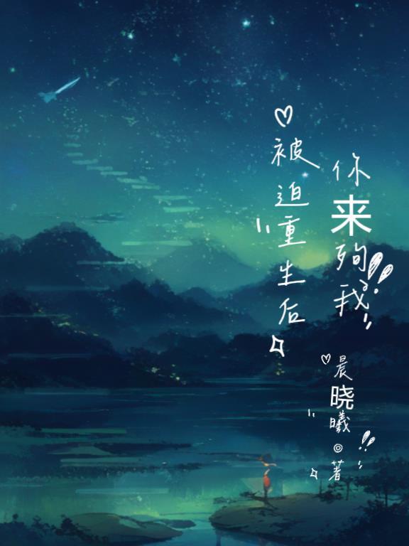 锦瑟之谋封面