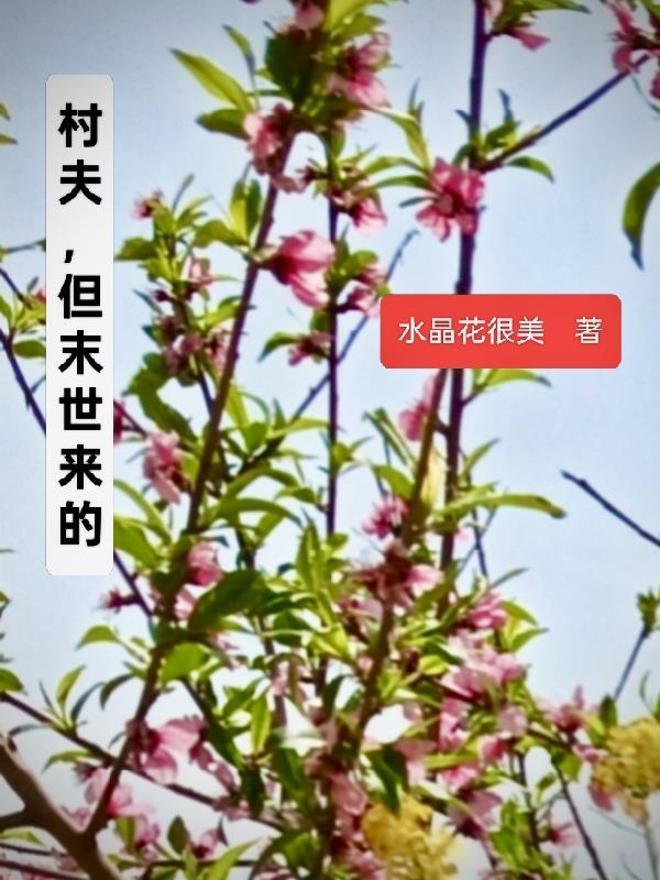 明珠映夜封面