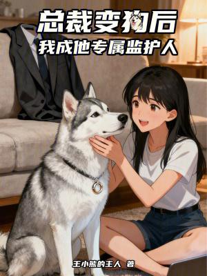 梦幻几率玩家封面