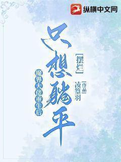 篮坛梗王封面