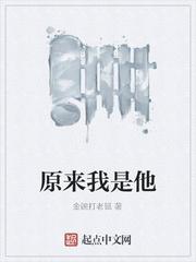 崇祯力挽大明朝封面