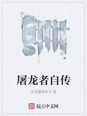 潜龙谍影第一部封面