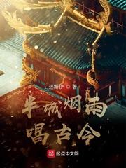 匹夫在大明封面