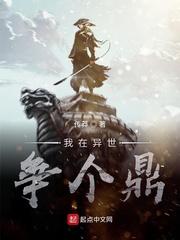 蹏部落王朝封面