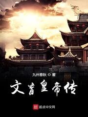 三国平乱封面