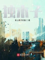 神豪国际投资家封面
