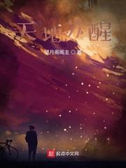 奥义双子封面