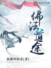 美人赠我相思意封面