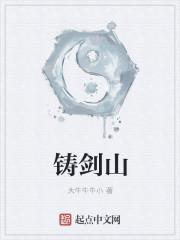 梅花雨封面