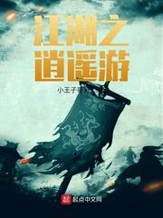 无极之劫封面
