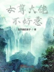 美人娇封面