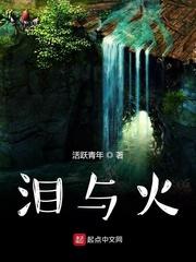 天朝驸马封面
