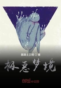 未知的大陆封面