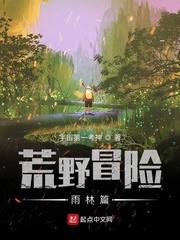 注视1雾团封面