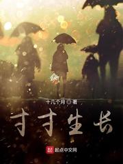 综清穿：下岗咸鱼再就业封面
