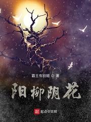 遗失的密码封面